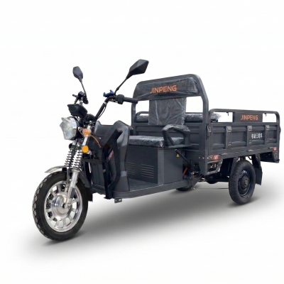 Triciclu electric AMR 300