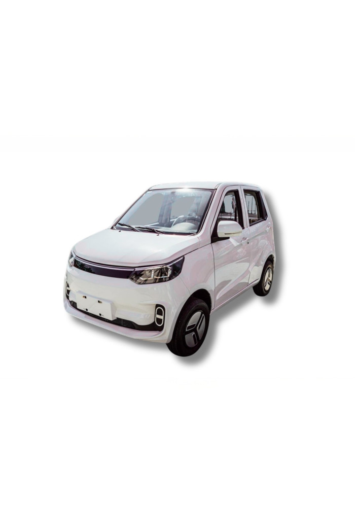 Masina electrica AMY