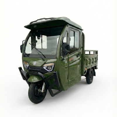 Triciclu electric AMR PLUS