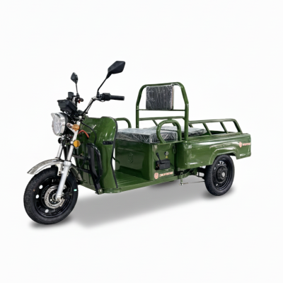 Triciclu electric AMR 100