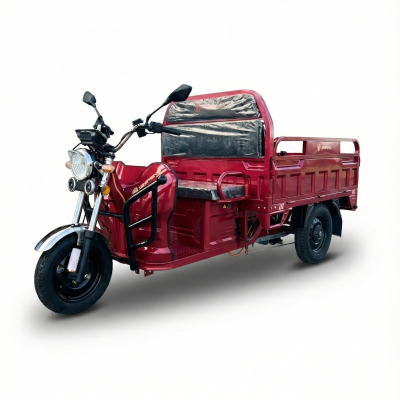 Triciclu electric AMR 350