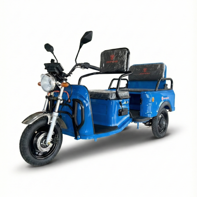 Triciclu electric AMR 200