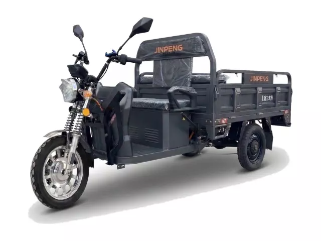 Triciclu electric AMR 300